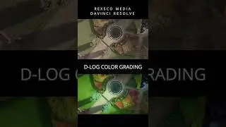 DJI D-log Color Grading in DaVinci Resolve | Rexsco Tutorials #davinciresolve  #rexscomedia