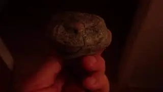 Stone age rock art;
