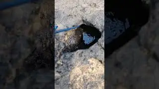 I Found a Magnet&hellip; While Magnet Fishing?! 😳🧲#magnetfishing#magnetism #magnet #viralvideo