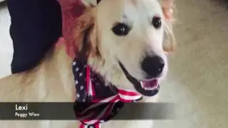 2017 Southside Sentinel Pet Contest Winners