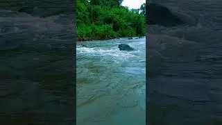 river video with original sound #naturalrelaxation #therapy #water #river #sound #flowing