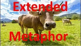 What is an Extended Metaphor?