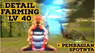 TUTORIAL FARMING 3RACE LV 40 : RF Online Remastered Indonesia