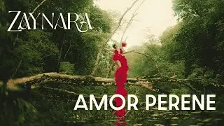 Zaynara - Amor Perene (Visualizer)