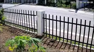 ecogarden