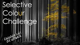 Selective Colour Photo Challenge - Episode 267 of UPwKA | Photography Podcast