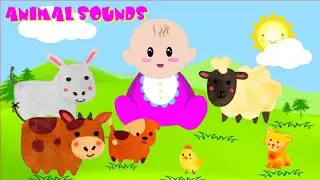 Relaxing Baby Music For Playtime with Real ANIMAL SOUNDS, SONG For Babies👶💝 Happy Music for Babies 🎶