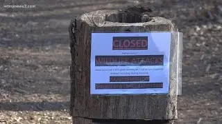 Coyote attacks at Lake Brandt: 6 attacks, 4 people bitten