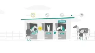 Horse Health Week - How well connected is your horse?
