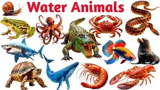 Water animal name for kids | বিভিন্ন জলজ প্রাণীর নাম ইংরেজিতে | different type of water animal name