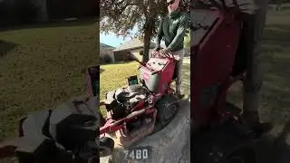 Leaf Cleanup Mulch Mowing | Quiet Lawn Care in North Texas