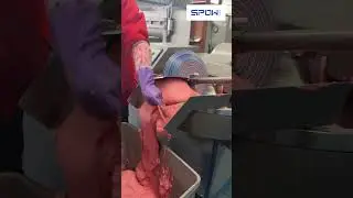 M&aacute;y Cắt &ndash; Xay &ndash; Trộn Dạng Bồn SPOW | Cắt Mịn, Trộn Đều, Hiệu Suất Cao