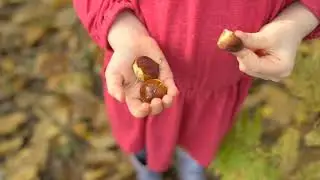 BROADLAND COUNTRY PARK OPENING FILM
