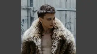 NIJE FER