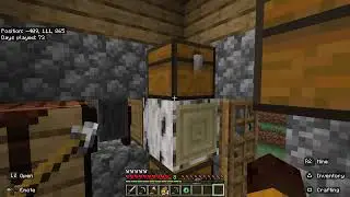 Minecraft getting all trophies ep13