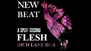 Rich Lane - Flesh (Dub)