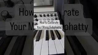How to Calibrate a Moog Subphatty #musicproduction #moog #subphatty #productiontips