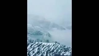 The Road | trip to Shangla | Swat | 2019