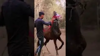 nagraj trening aek per par 😱#trending#video