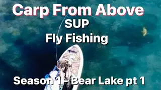How to Fly Fish for Carp - Bear Lake on a SUP