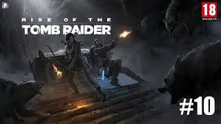 Rise of the Tomb Raider | #10 | Jonah w opałach!