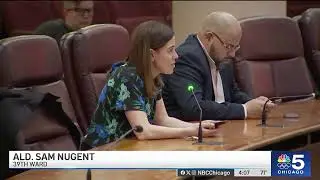 Head of CTA appears before Chicago City Council