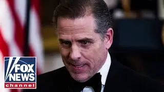 Hunter Biden reportedly omitted from White House visitor logs