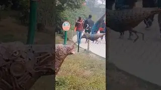 jangal book #zoo #shortvideo #adventure #artificial #animals #fun