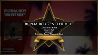 Burna Boy - No Fit Vex (Lyrics)