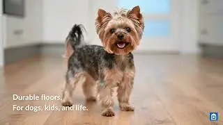 This Flooring Survives Dogs, Kids&hellip; and Zoomies