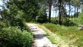 V140609 13 24