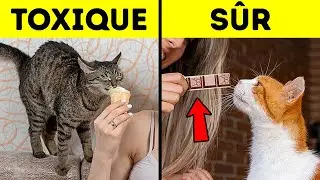 16 faits que les animaux pr&eacute;f&egrave;rent garder secrets pour vous