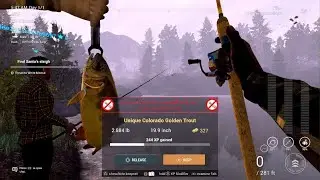 Watch me finally catch a unique Colorado Golden trout on fishing planet !