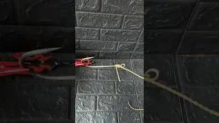 One Second. One Hook. One Crazy Strike #fishing #angler #fishingtips #knots #gtknot #knotskill #fish