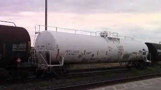 Trains I filmed August 14 Part 2 CN 8895 CN 2594 CN 8872 CN 2600 CN 3165 CN 3943