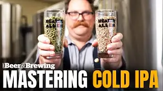 [Trailer] Mastering Cold IPA