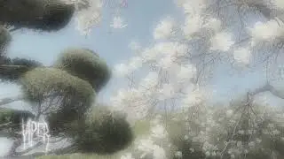 CA23