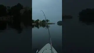 Bull Redfish on Yo-Zuri Twitchbait #shorts #fishing #kayakfishing #inshorefishing #redfish