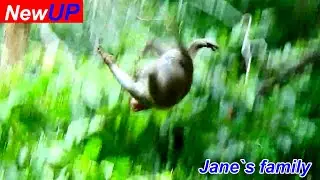 It worst day! Jonna fell from the high tree very p@in looking her in b@d situation on ground.