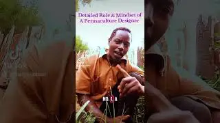 ROLE AND MINDSET OF PERMACULTURE DESIGNER