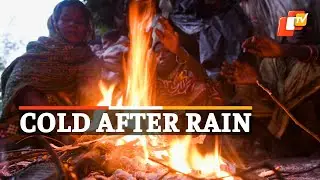 Odisha Weather: IMD On Rainfall & Temperature Drop | OTV News