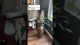 Plant wisdom revealed