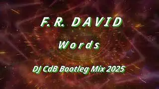 F.R. David - Words (DJ CdB Bootleg Mix 2025)