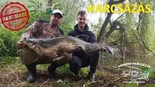 Harcsahorg&aacute;szat &eacute;s &eacute;let&eacute;rz&eacute;s (Mysticat Team Modern Harcs&aacute;z&aacute;s)