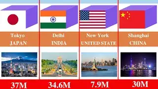 Biggest Cities In The World By Population 2025 #BiggestCities #CityComparison #fyp 