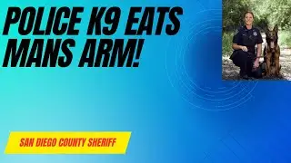 Police K9 Eats Man's Arm Who is Surrendering | Axon Body Cam