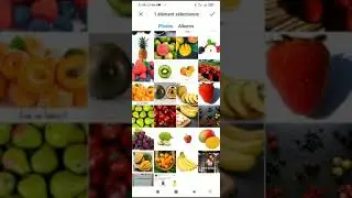 DEV AI FRUIT CLASSIFICATION USING AN ANDROID APP.
