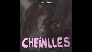 David Quinz&aacute;n - Cheinlles