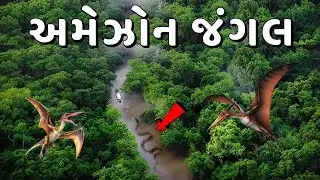 Amazon Rainforest: The Lungs of Our Planet 🌍| Secrets of the Amazon Forest You&rsquo;ve Never Heard Before