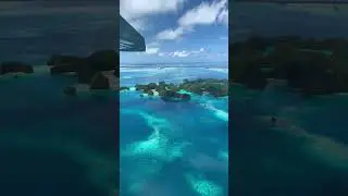 Most beautiful places in Palau. 🌎 #nature #travel #palau